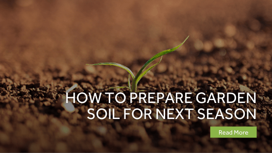 How To Prepare Garden Soil For Next Season