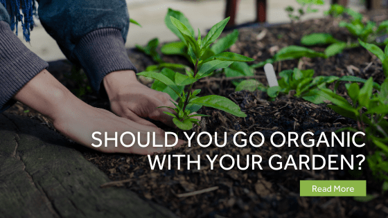 Should You Go Organic With Your Garden?