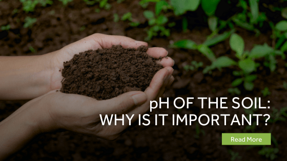 PH Of The Soil - Why Is It Important?