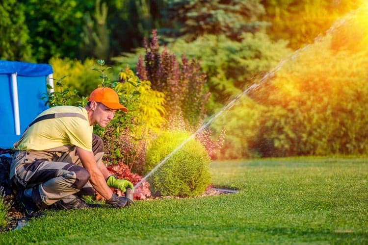 Man Ajusting Lawn Sprinklers