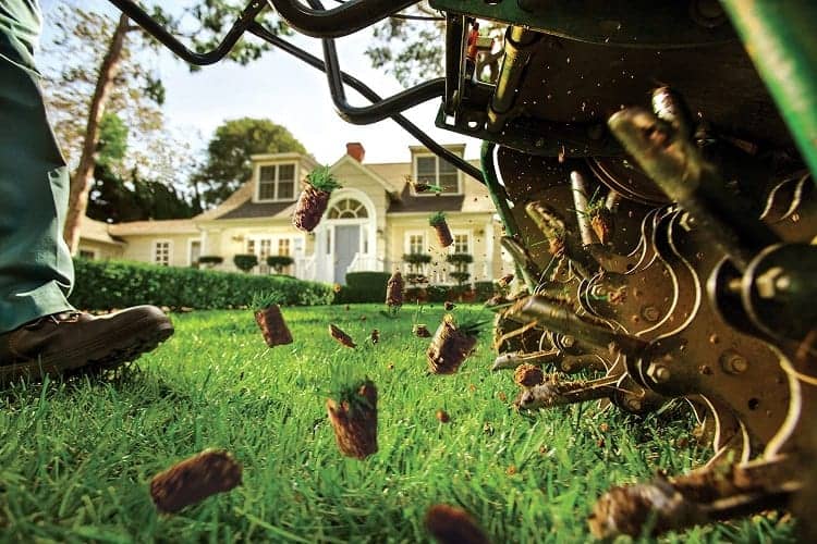 Guide To Lawn Overseeding 12 Man Aerating The Lawn