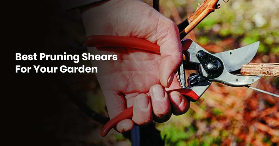 Best Pruning Shears For Your Garden Gustafsgreenery