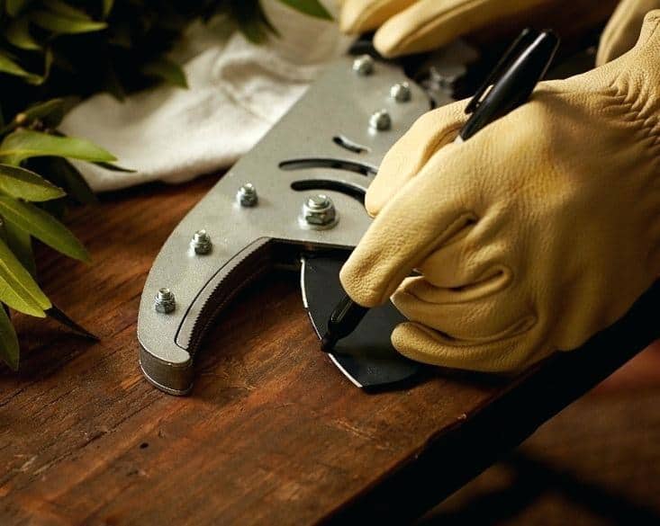 How to Sharpen Garden Shears: A Step by Step Guide 7 Check the blade edges