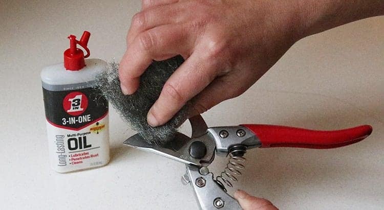 How to Sharpen Garden Shears: A Step by Step Guide 3 Clean The Shear