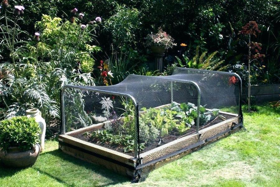 How To Prepare Garden Soil For Next Season 14 Garden Bed Cover