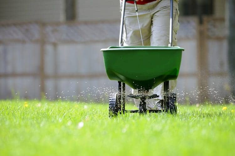 Grass Fertilizing