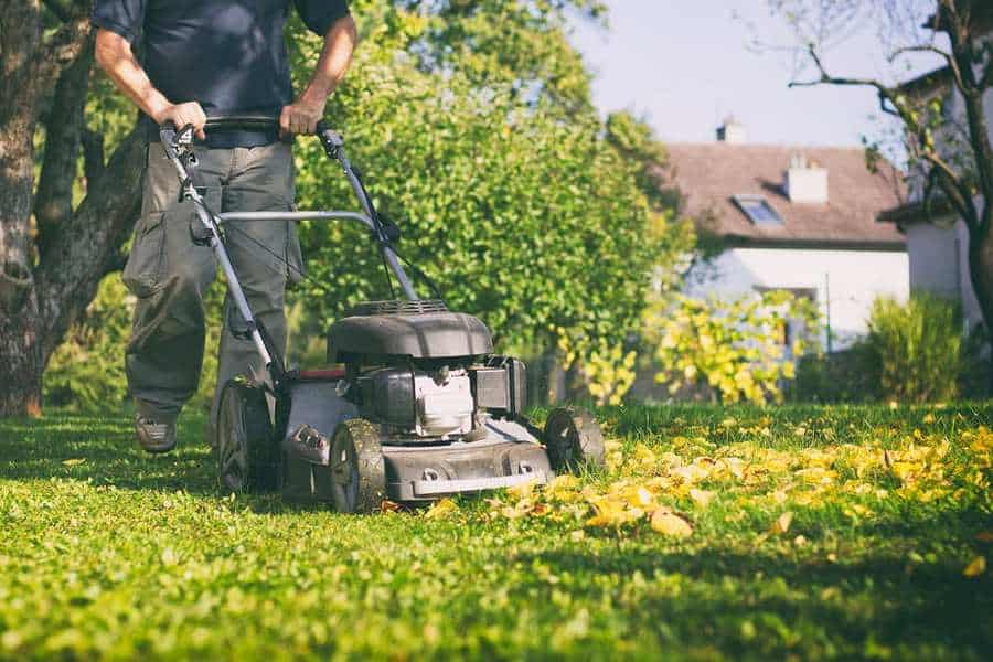 Electric Vs Gas Lawn Mower 3 A Gas Lawnmowers