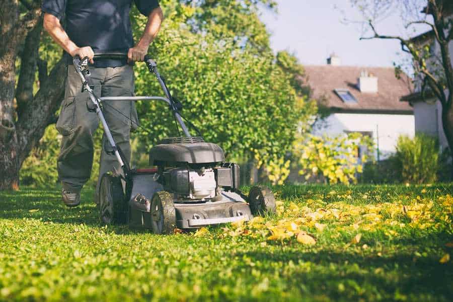 A Gas Lawnmowers