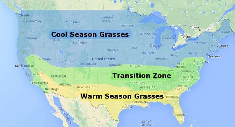 Transition Zone For Grass