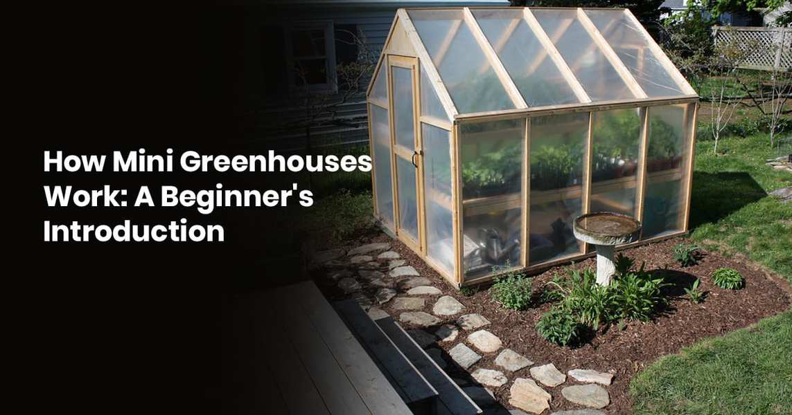 How Do Mini Greenhouses Work? A Beginner?s Introduction