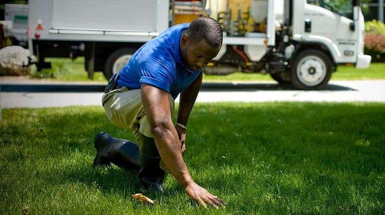 How to Fix a Brown Patch in Your Lawn: 6 Steps 6 Man Examing Lawn