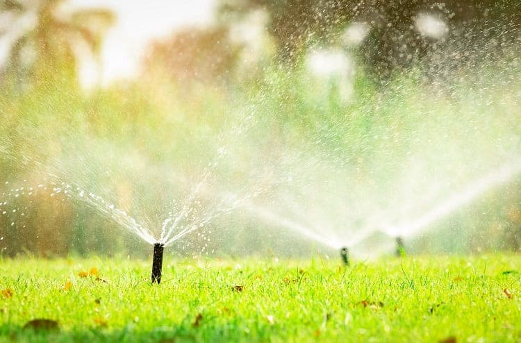 How to Fix a Brown Patch in Your Lawn: 6 Steps 5 Automatic Lawn Spriklers