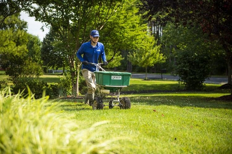 Fertilizing Lawn