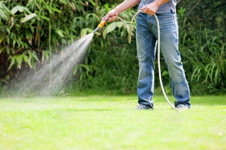 Man Watering Lawn