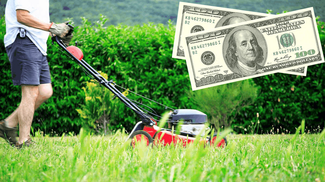 Lawnmower prices