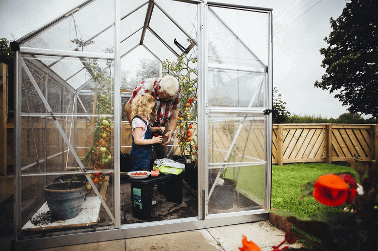 Grandpa And Grandaughter In Mini Greenhouse