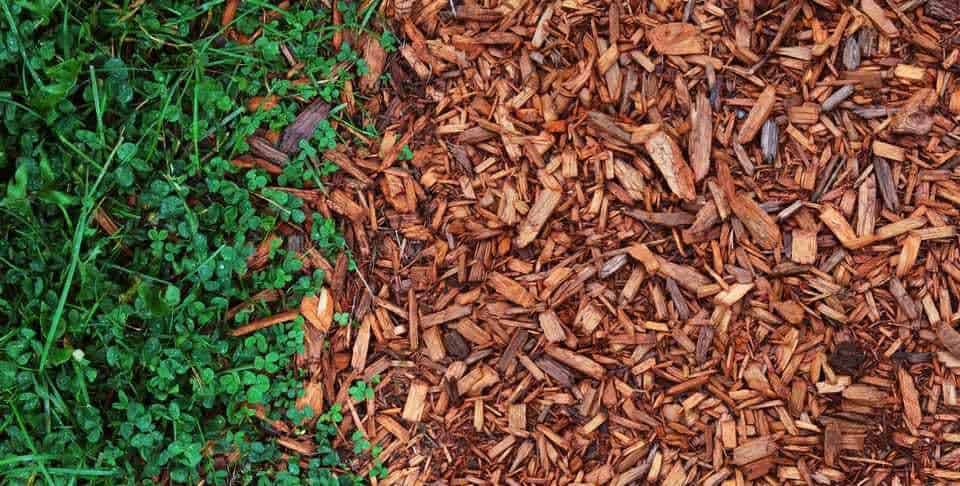 Mulch to prevent weed