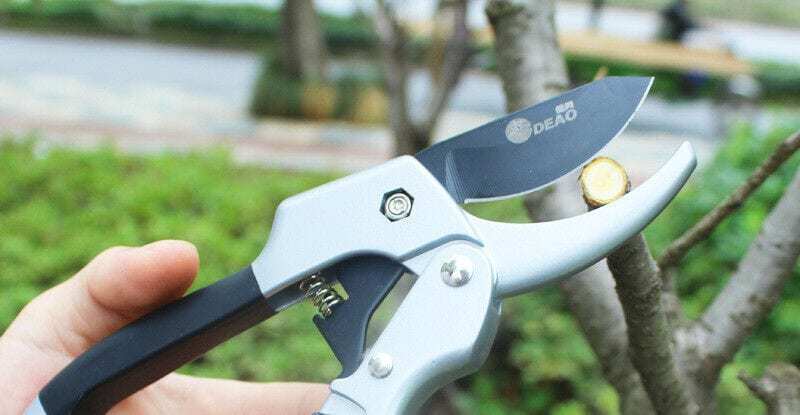 How to Sharpen Garden Shears: A Step by Step Guide 5 Open Shear