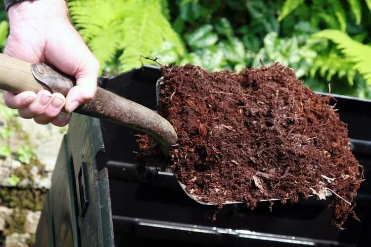 How to Fix a Brown Patch in Your Lawn: 6 Steps 7 Fertilizer In Shovel