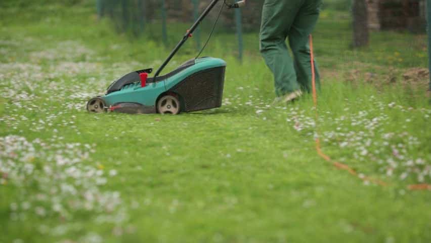 Portable Lawnmowers