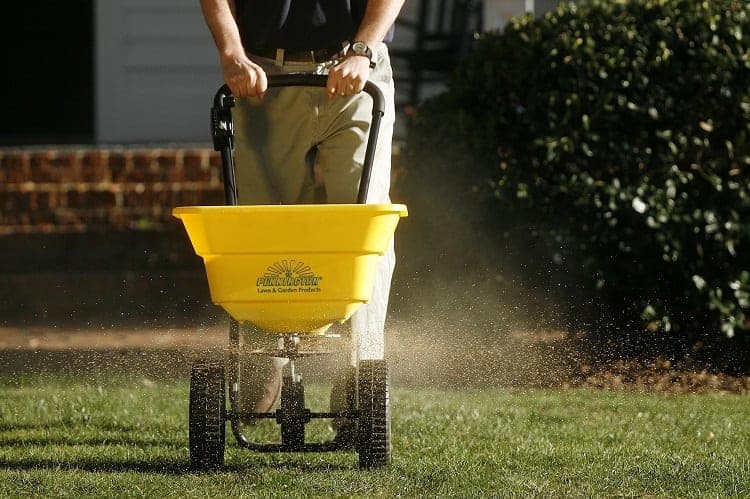 Applying a Lawn Fertilizer