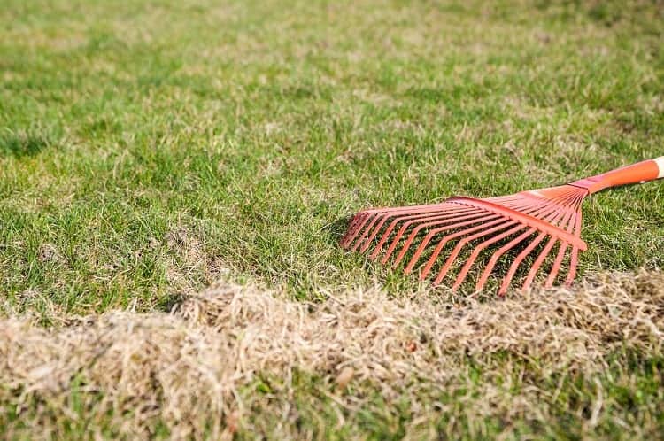 Lawn Rake