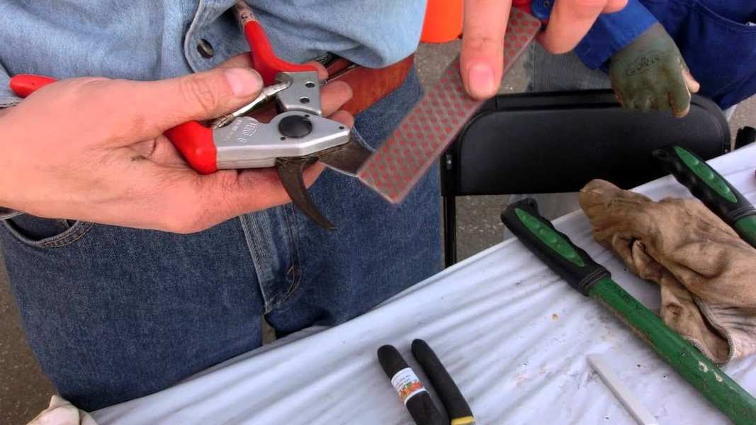 How to Sharpen Garden Shears: A Step by Step Guide 8 Sharpening Files