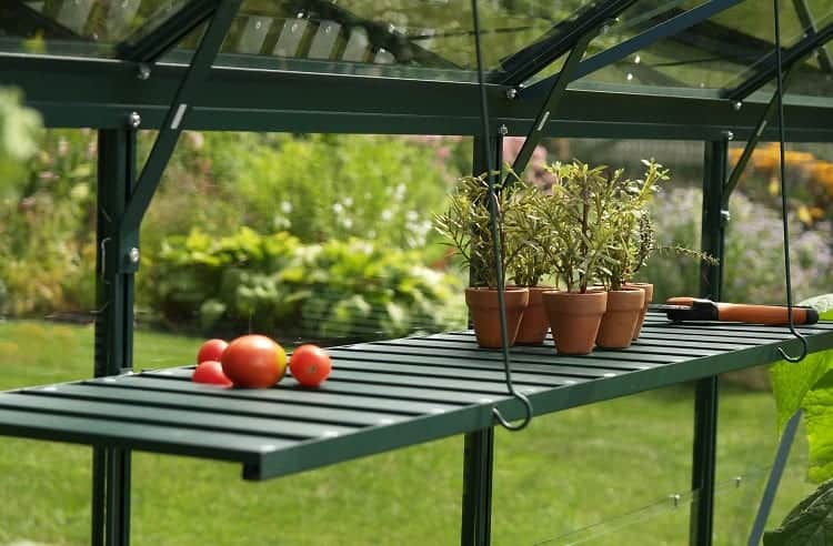 Mini Greenhouse Shelf