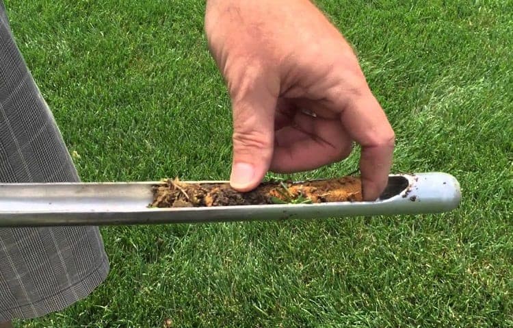 How To Revive Dead Grass: A Complete Guide 8 Measuring pH In Soil