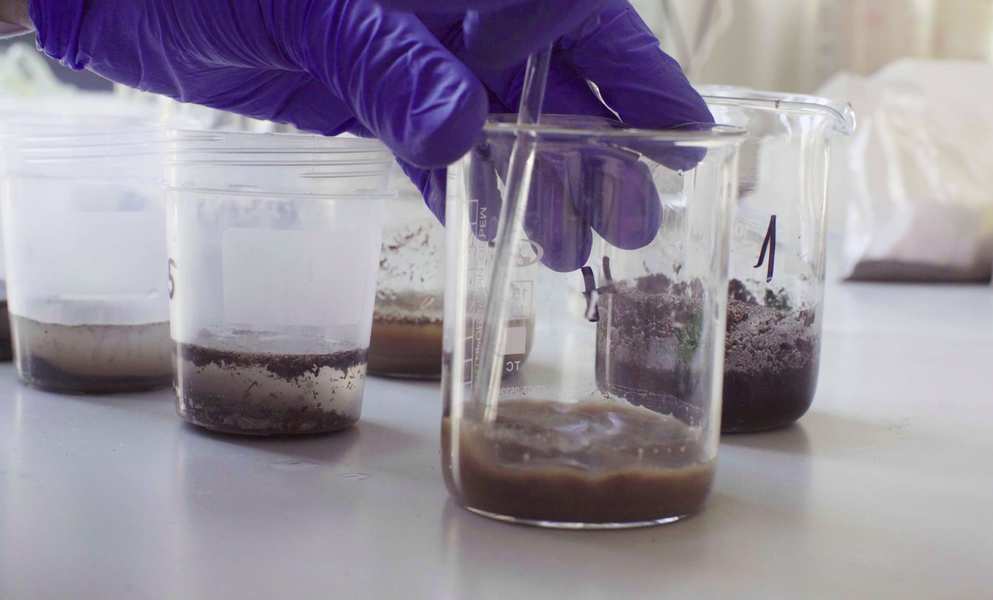 How To Prepare Garden Soil For Next Season 5 Testing Soil With