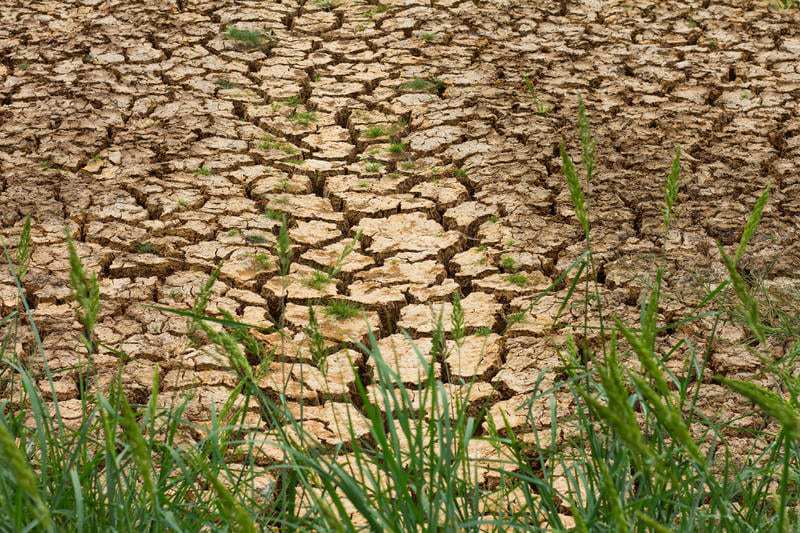 pH of The Soil - Why Is It Important 6 Soil PH affected by climate