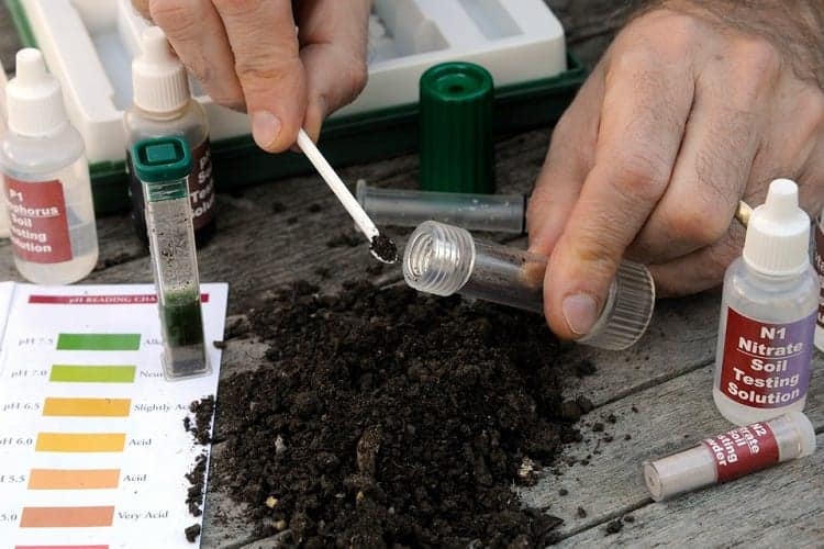 Guide To Lawn Overseeding 6 Testing Soil pH
