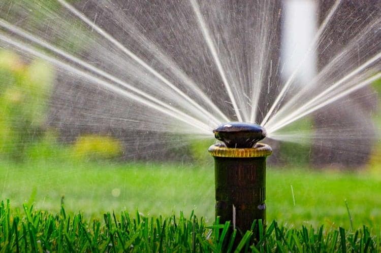 Lawn Sprinkler