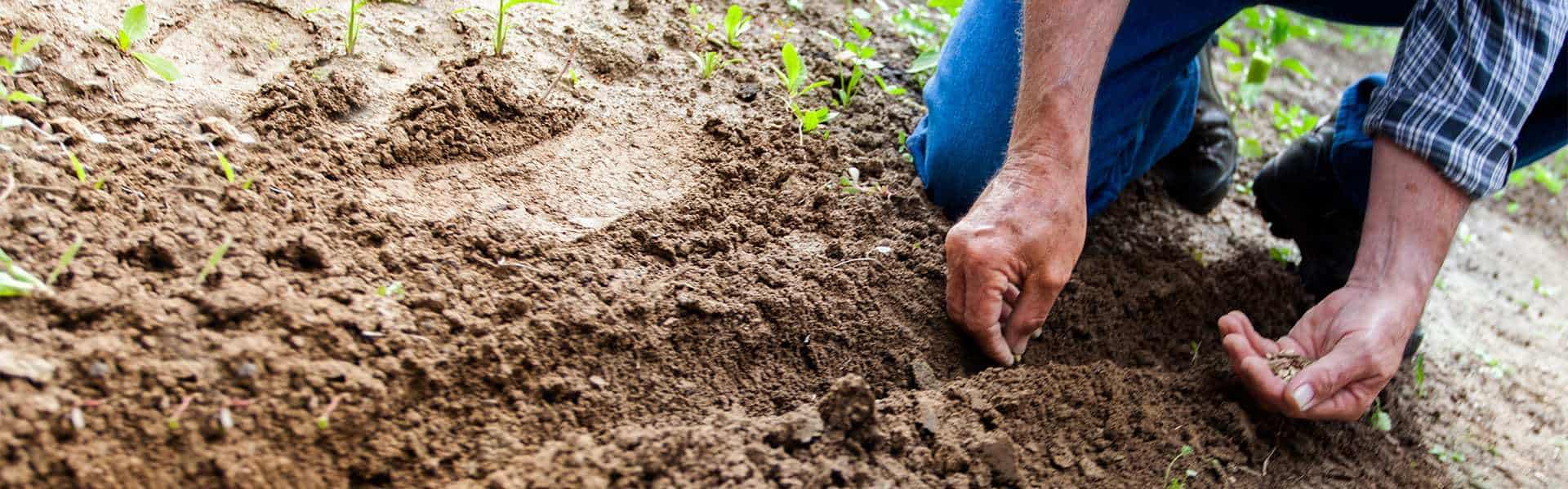 Tilling the soil