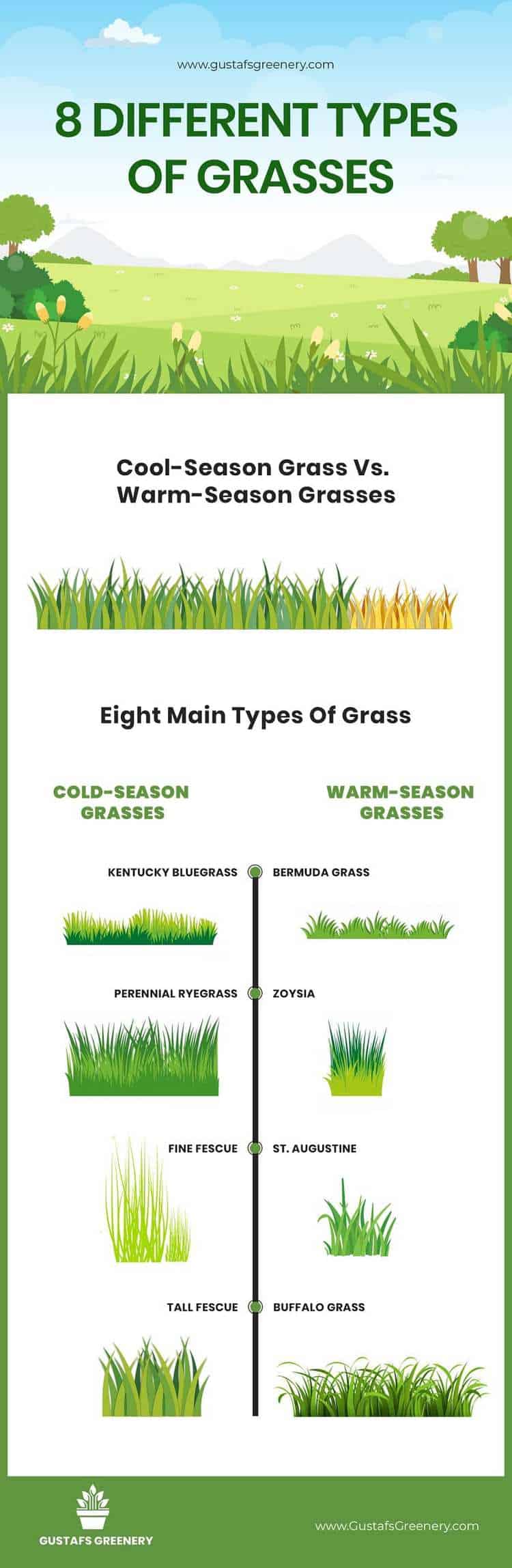 Types Of Grasses