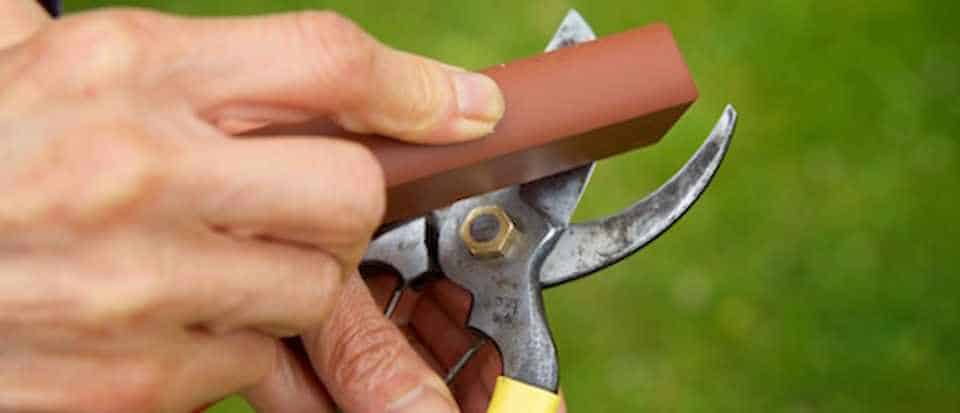 How to Sharpen Garden Shears: A Step by Step Guide 6 Use The Sharpening Tools