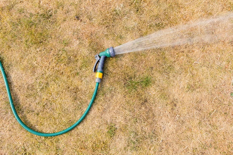 Hose On Parched Grass