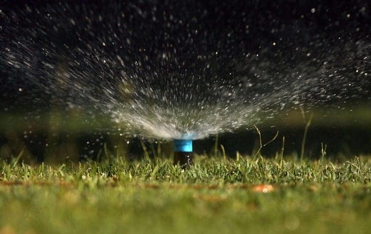 Watering Lawn By Night