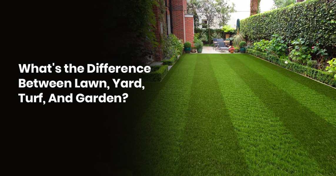 What S The Difference Between Lawn Yard Turf And Garden