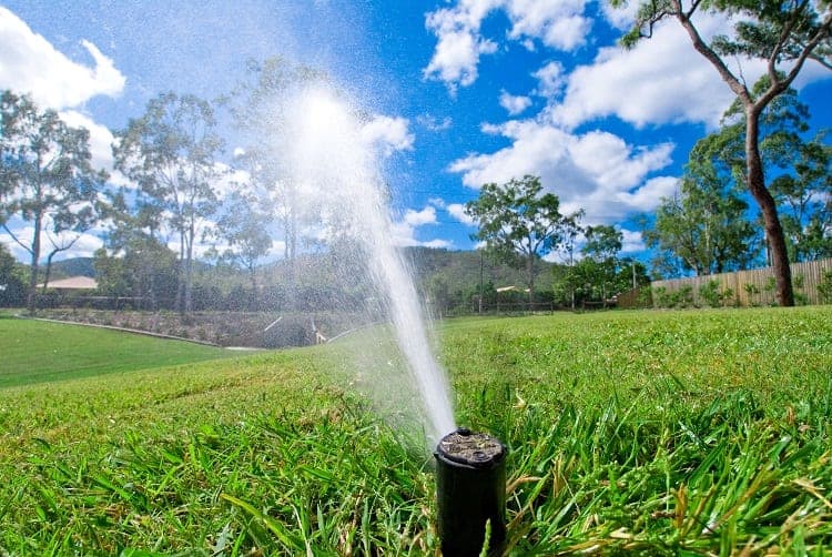 Watering Grass