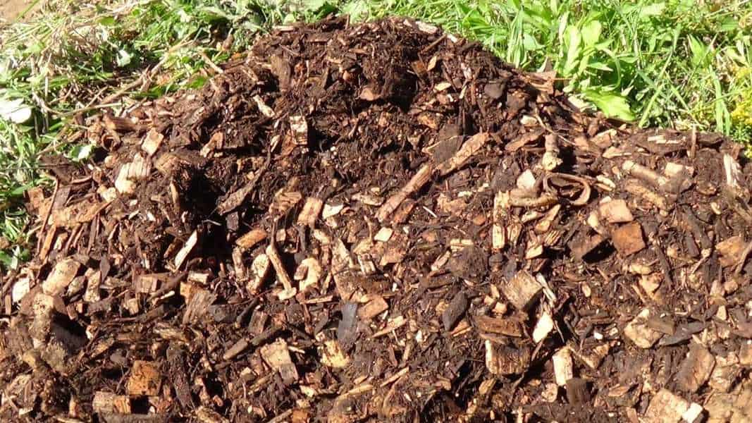 How To Prepare Garden Soil For Next Season 15 composting sawdust in the ground