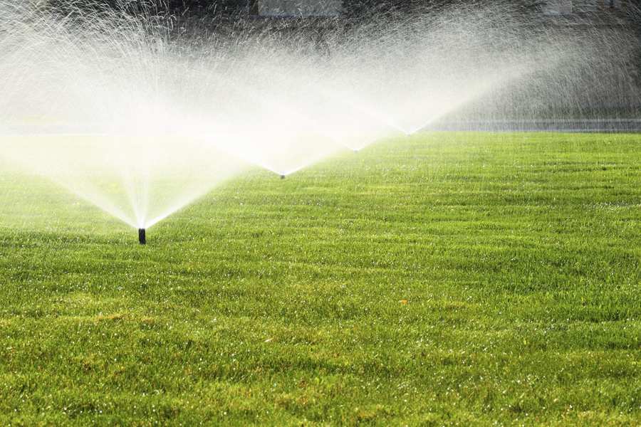 over-watering the garden