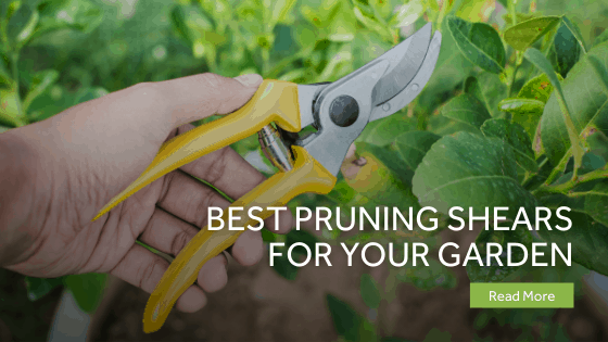 Best Pruning Shears For Your Garden