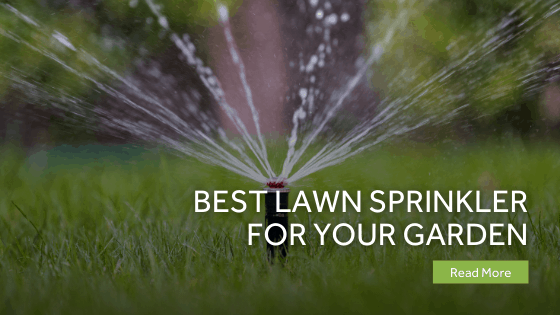 Best Lawn Sprinkler For Your Garden