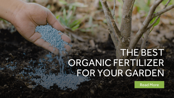 organic fertilizer