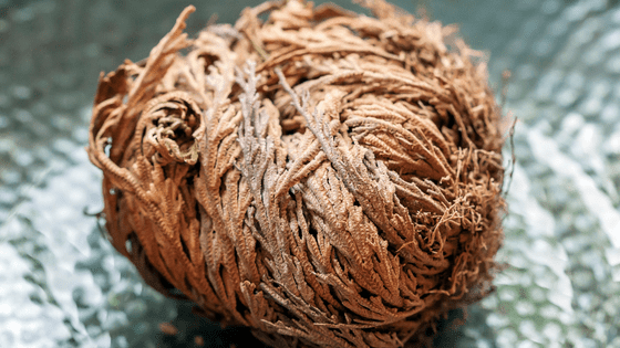 Rose of Jericho: Ultimate Resurrection Plant Care Guide 2